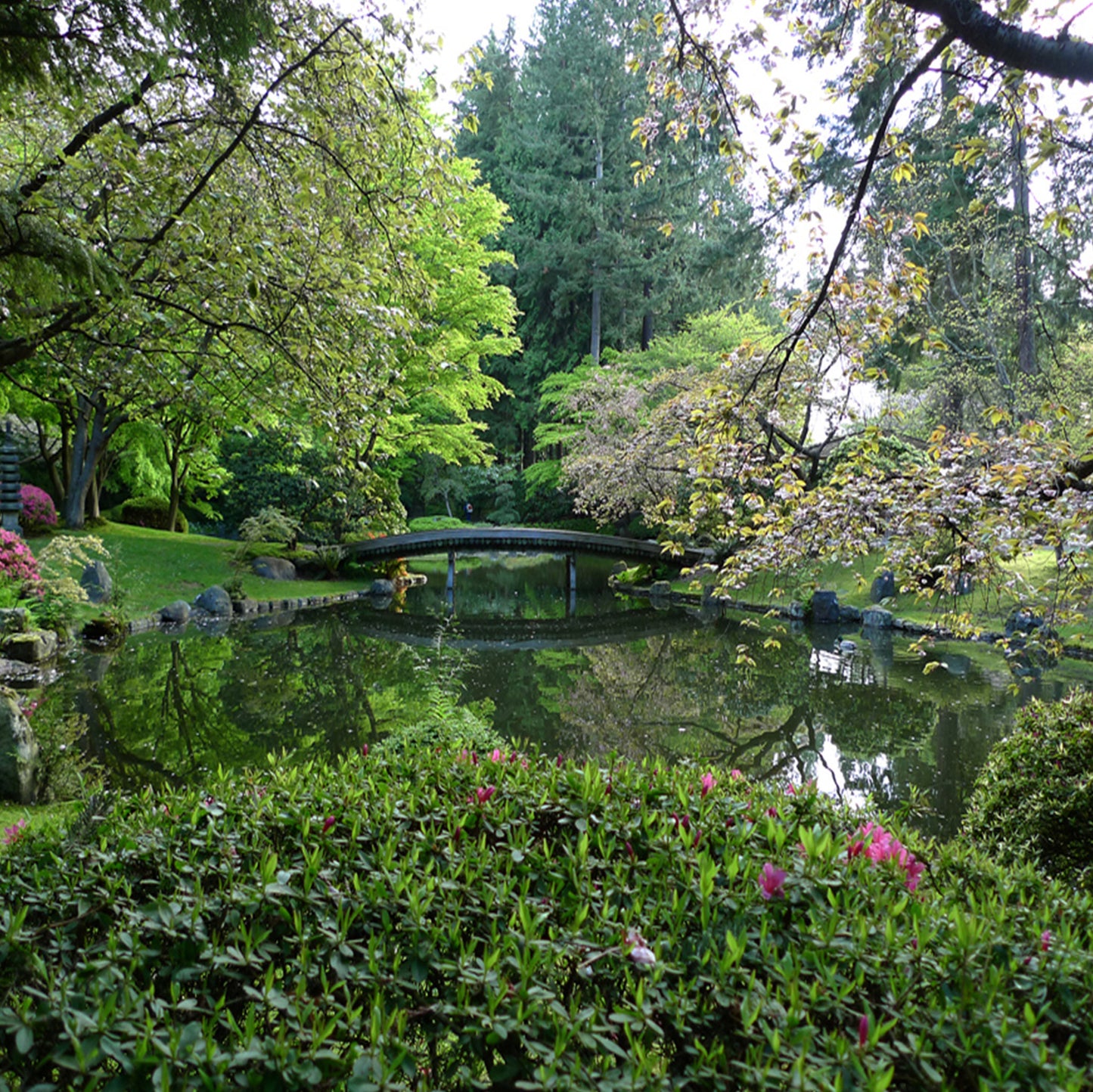 Nitobe Memorial Garden Admission (Winter Season)