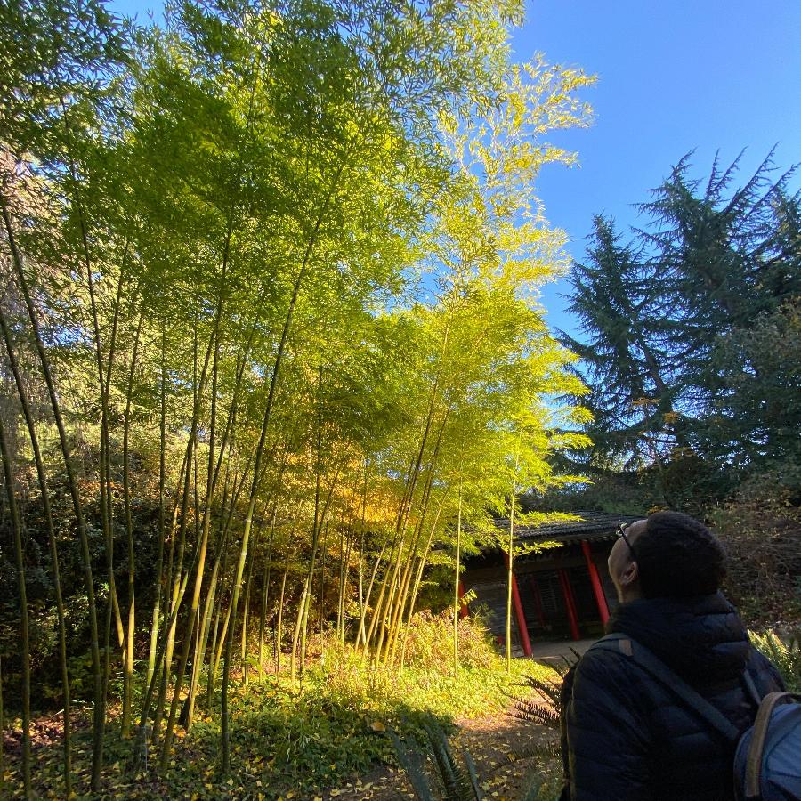 UBC Botanical Garden Admission (Winter)