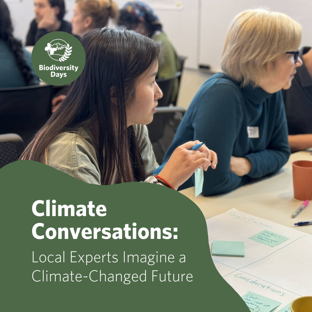 Climate Conversations