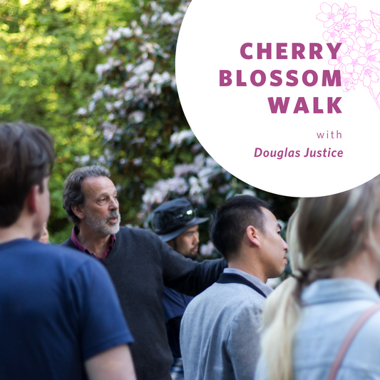 Cherry Blossom Walk with Douglas Justice