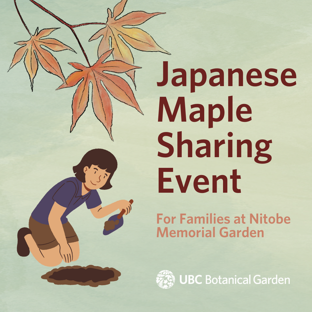 Japanese Maple Sharing Event for Families at Nitobe Memorial Garden Tickets