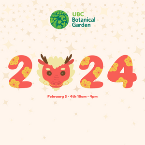 UBC Botanical Garden Lunar New Year Market 2024