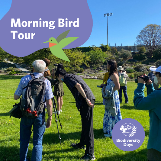 Morning Bird Walk at UBC Botanical Garden