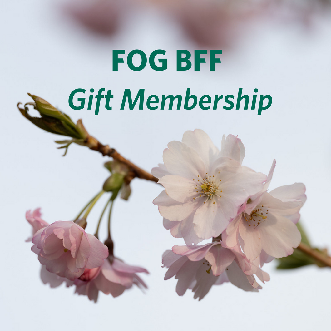 FOGs BFF Membership